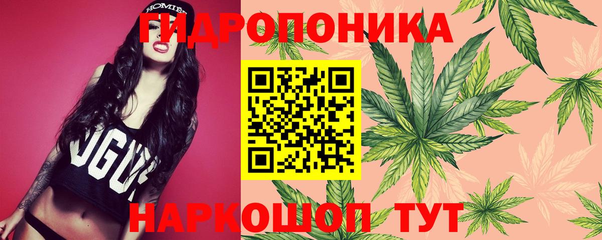 Конопля Ganja  Вход с VPN  Марихуана LSD WEED  Алексин  Бошки Шишки Bruce Banner 